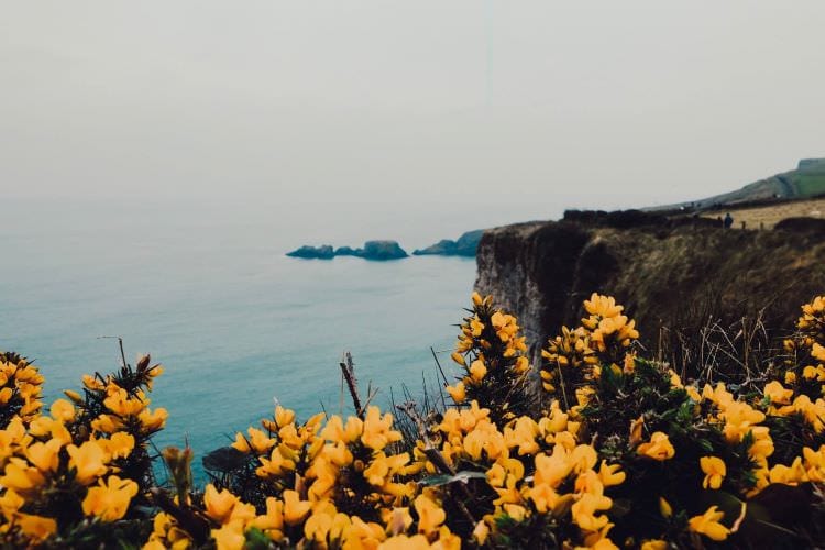 Northern Ireland: A small country with a Titanic personality