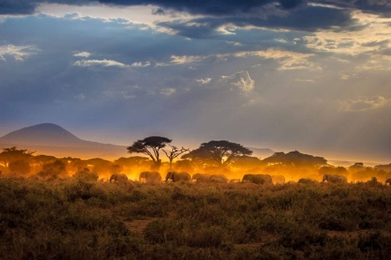 Nine Perfect Days on a Kenya Safari