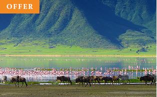 black-friday-travel-offers-abercrombie-kent Tanzania