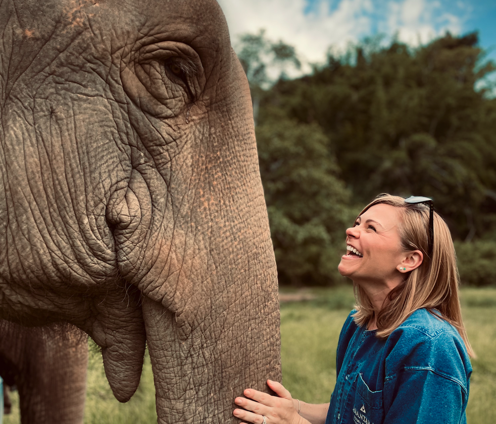 Why Thailand Continues to Captivate Travelers